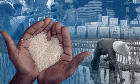 the mysterious metro manila slasher|Romualdez: Program for cheap rice a step to slash hunger.